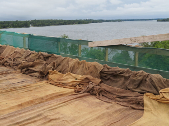 Burlap in place on newly placed concrete