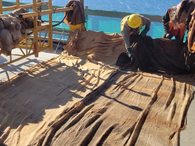 Placing wet burlap on the newly placed concrete