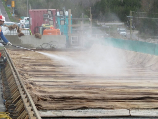 Spraying the burlap to keep it wet