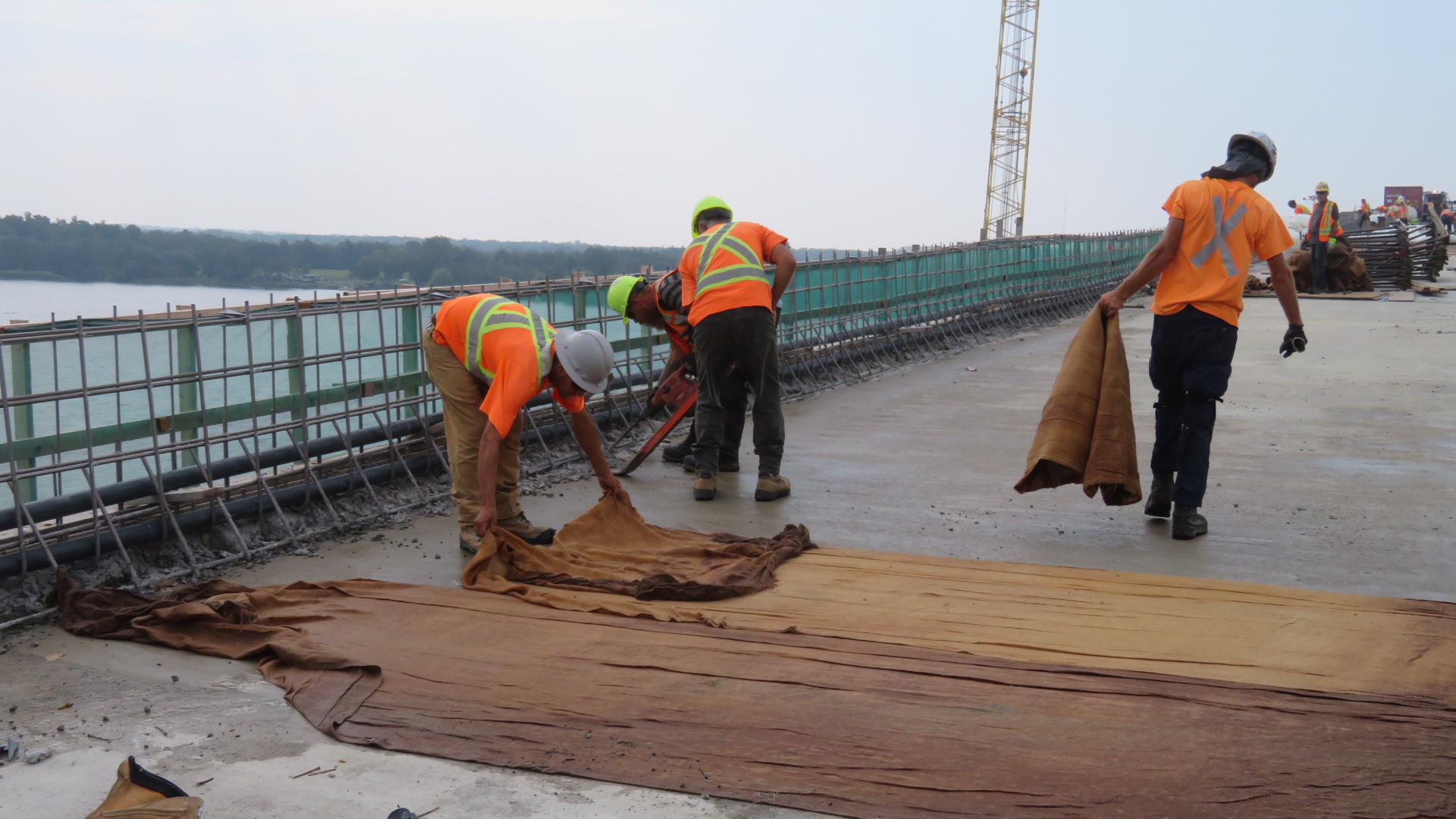 Removing the burlap from the cured bridge deck
